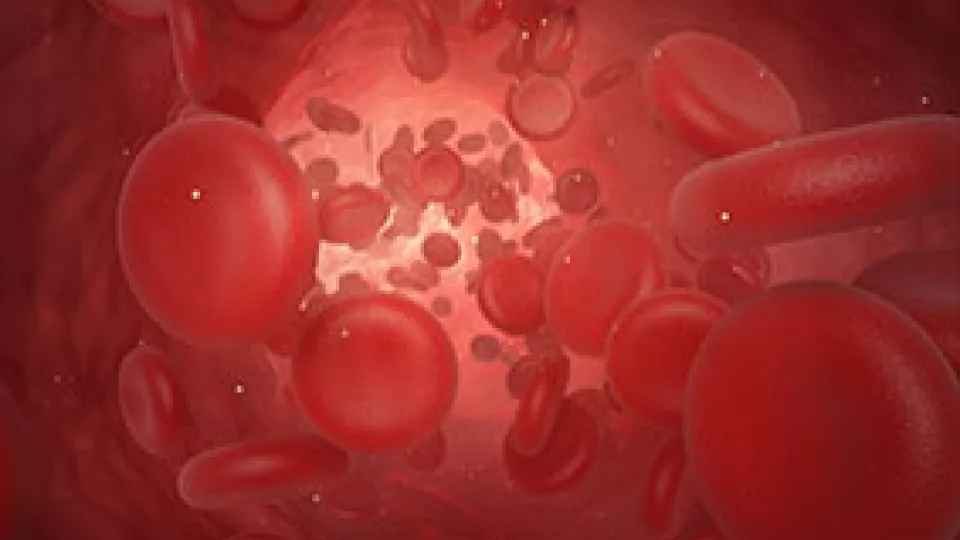Röda blodceller Bildkälla: Mostphotos
