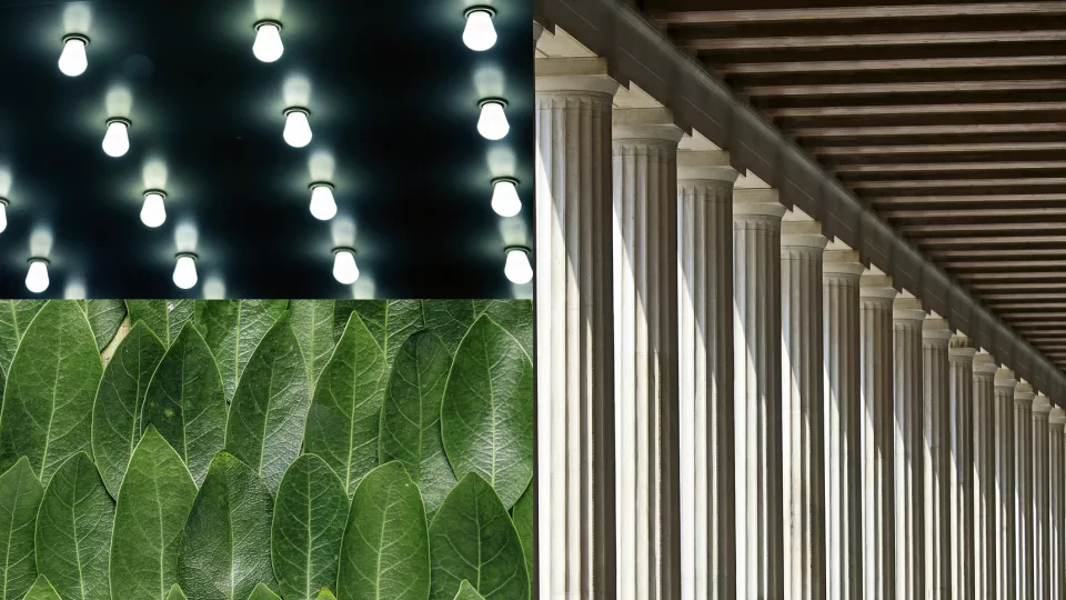 Tre bilder: glödlampor i tak, blad och en pelargång