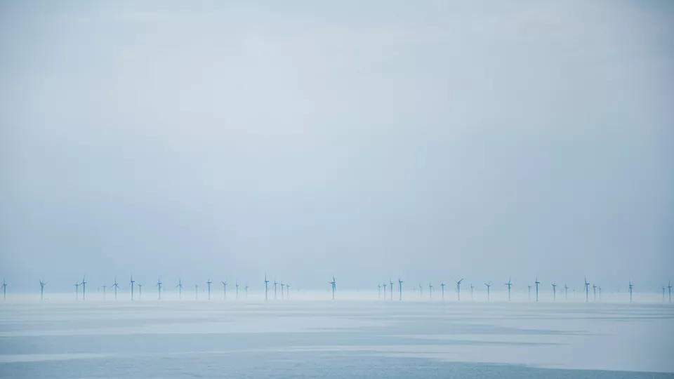 Vindkraftverk stående på rad ute till havs. Foto.