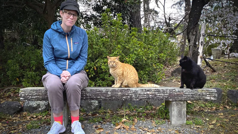 Kvinna på en bänk med två katter. Foto. 