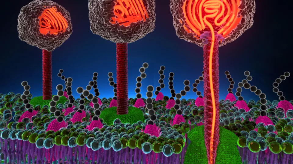 fagvirus och celler. illustration.