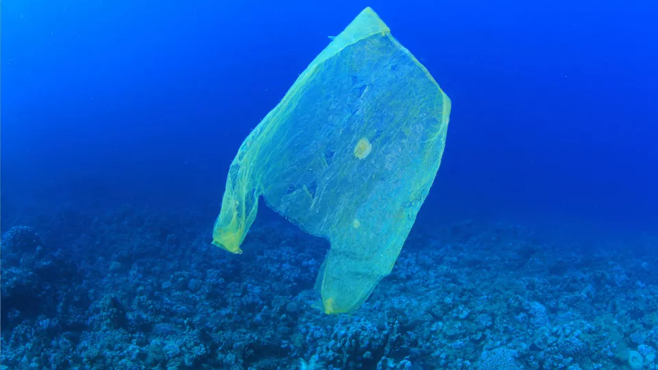 Plastskräp som dumpas i haven bryts så småningom ner till seglivade små plastdelar som kan guppa runt i haven i årtionden. Detta vill studenterna ändra på med sin bionsensor. Foto: MichaelisScientists/Wikimedia Commons