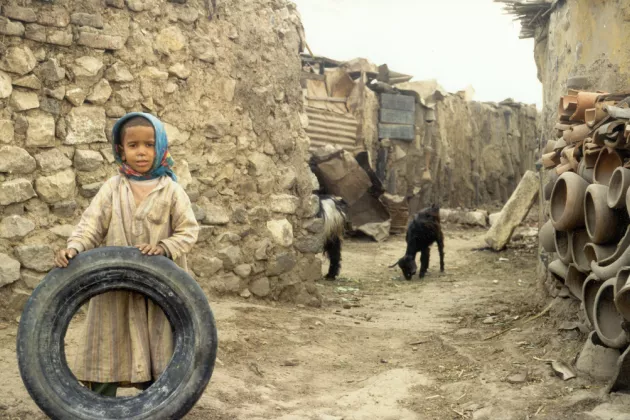 Ett barn i ett utvecklingsland leder med bildäck bland småboskap