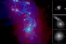 Simuleringsbild föreställande galaxers utveckling.