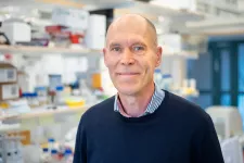 2021 års mottagare av Eric K. Fernström Stora Nordiska pris Christer Betsholtz är ledande inom blodkärlsforskningsfältet och har kartlagt kommunikationen mellan olika celltyper i blodkärlen och hur dessa celler utvecklas och nybildas. Foto.