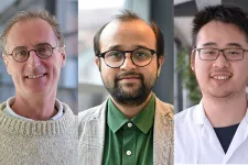  Tre av forskarna bakom två studier om benmineralpartiklar som laddas med cytostatika för bättre frisättning i tumören. Från vänster Jacob Engellau, Deepak Raina och Yang Li. Foto.