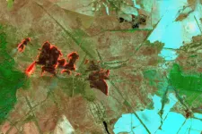 Satellitbild som visar bränder i ett jordbruksområde i sydvästra delen av Tjernobyl, Ukraina. Foto.