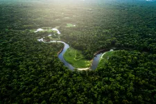 Flygfoto över Amazonas djungel