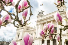 Photo of pink flowers in front of a white building.