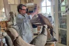 Fredrik Strid skulpterar en fågel i lera. 