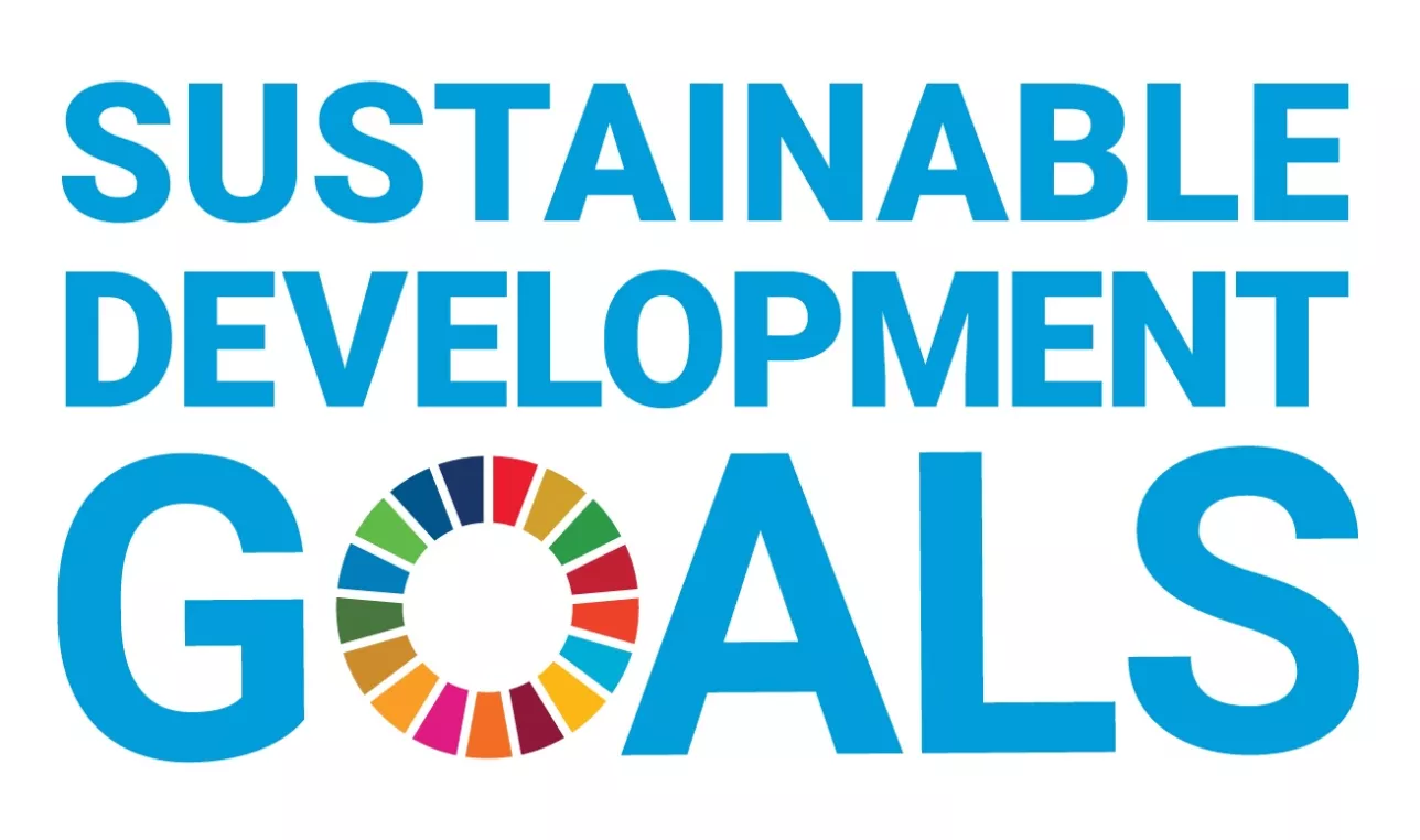 Sustainable development goals. Logo.