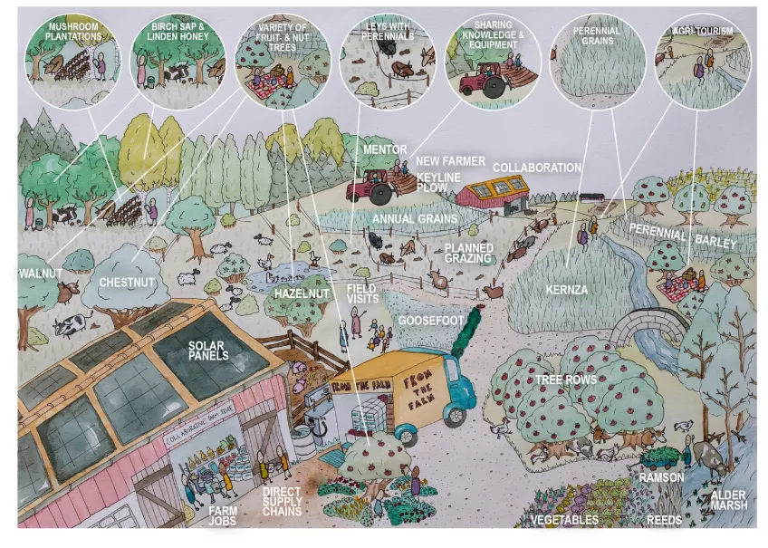 visioner för ett hållbart jordbruk. Illustration: Emma Johansson.