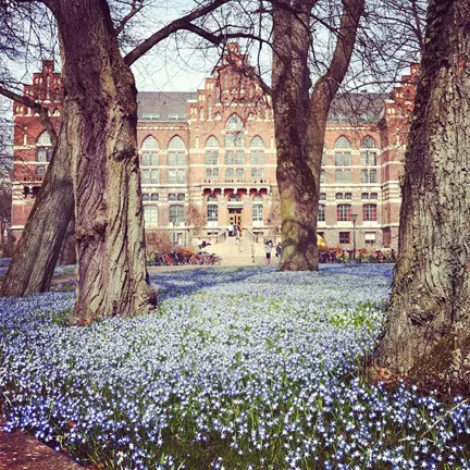 Blommor framför Universitetsbiblioteket. Tredjepriset i Instagramtävlingen. Foto.