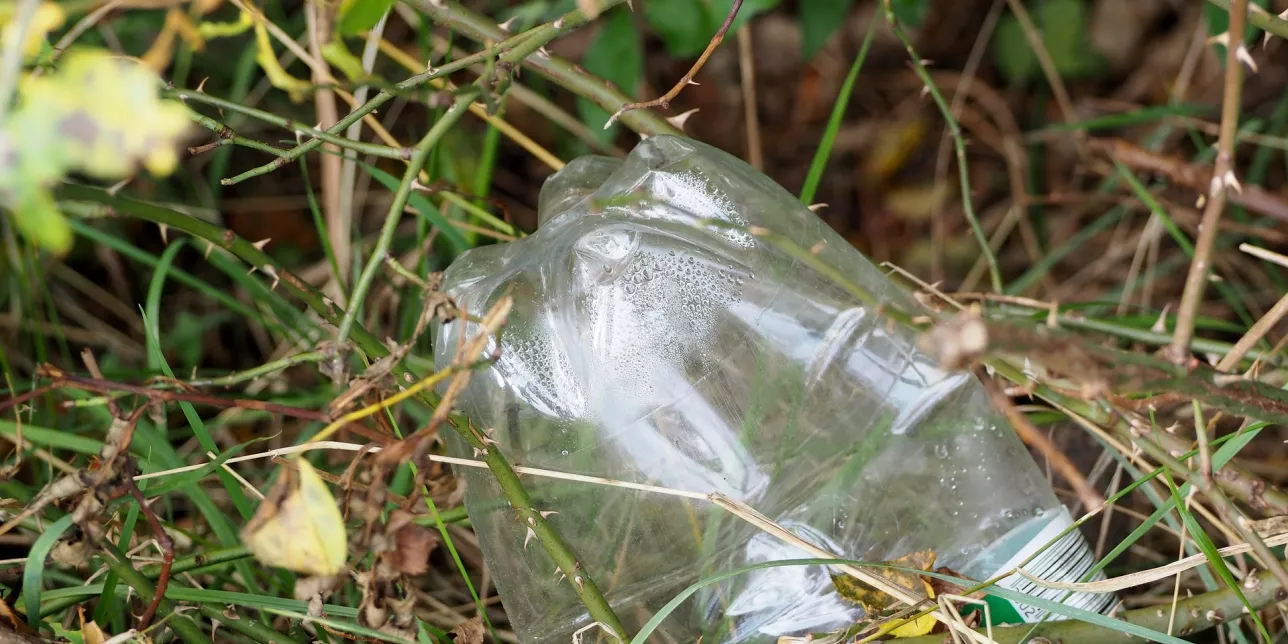plastflaska i naturen. Foto.