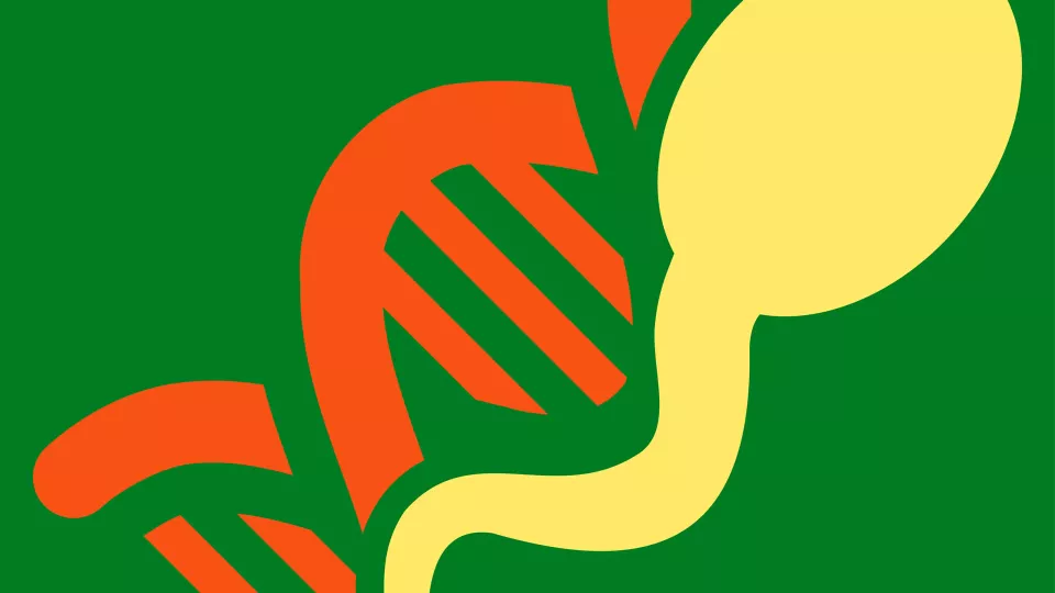 illustration av en spermie och DNA-sträng