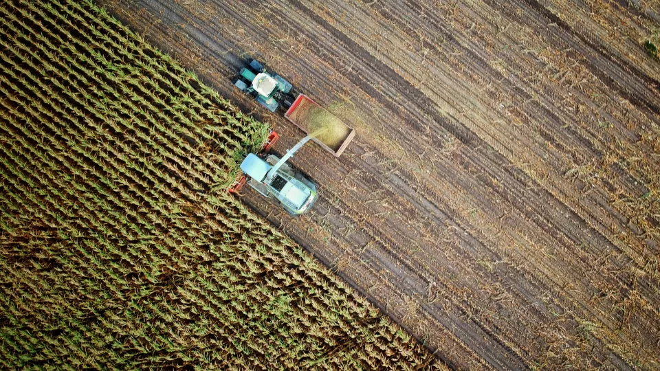 Jordbruk där grödor skördas. Foto: Unsplash.