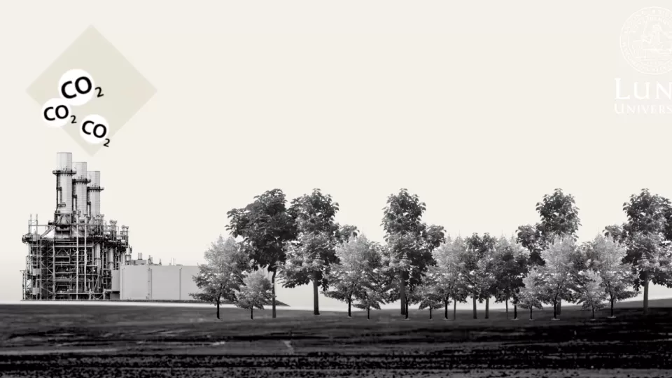 A field with trees and a factory illustrating negative emissions. Illustration.