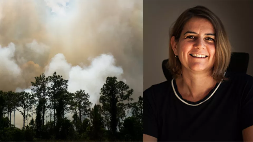 En brinnande skog i Florida och Emily Body, hållbarhetsprofessor vid Lunds universitet. Foto: Unsplash och Peter Frodin.