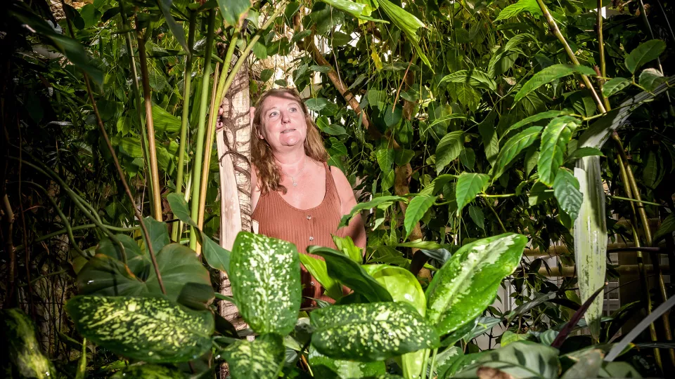 Kvinna bland många växter. Foto.