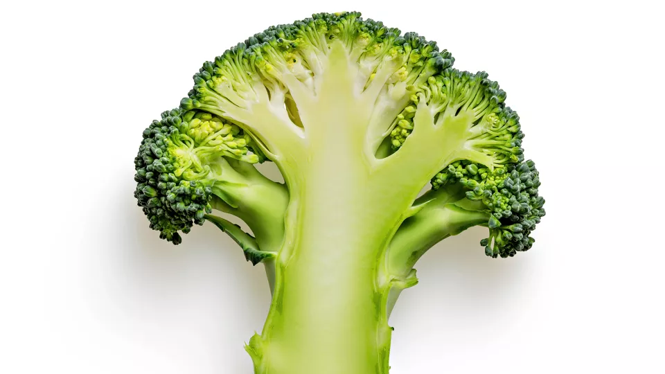 Broccoli i genomskärning. Foto.