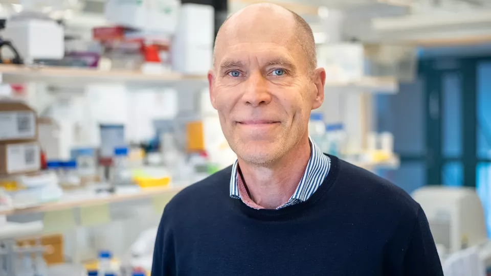 2021 års mottagare av Eric K. Fernström Stora Nordiska pris Christer Betsholtz är ledande inom blodkärlsforskningsfältet och har kartlagt kommunikationen mellan olika celltyper i blodkärlen och hur dessa celler utvecklas och nybildas. Foto.