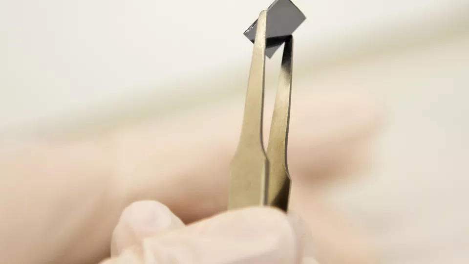 Bild på ett chip som hålls med en pincett