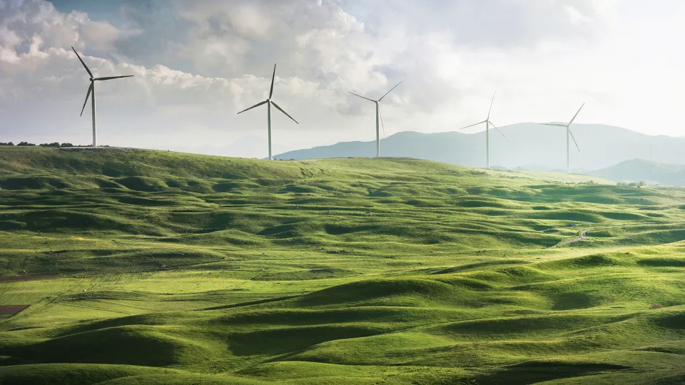 Landskapsfoto med gröna böljande ängar och kullar och en rad med vindkraftverk längre bort vid horisonten.