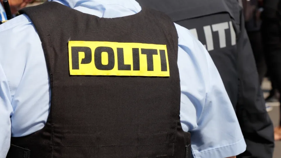 dansk polis