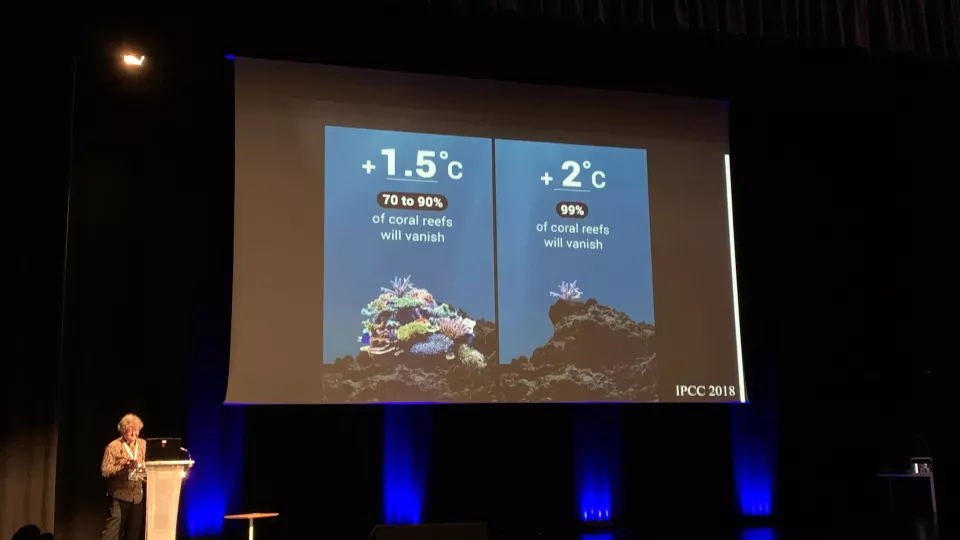 Bild på konferensdeltagare.
