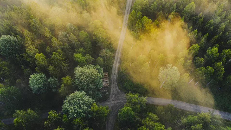 Flygbild över skog med olika vägar samt upplagt timmer. Foto.