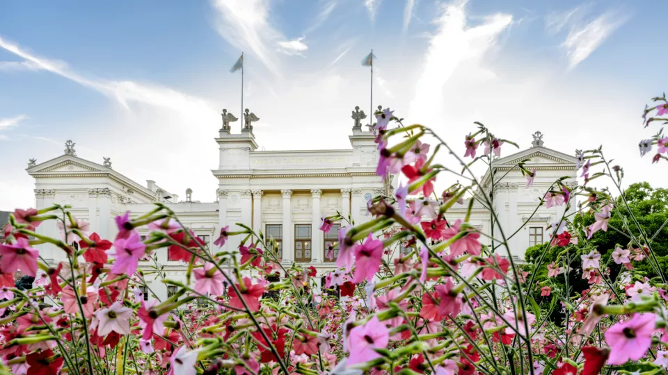 Universitetshuset med blommor. Foto.