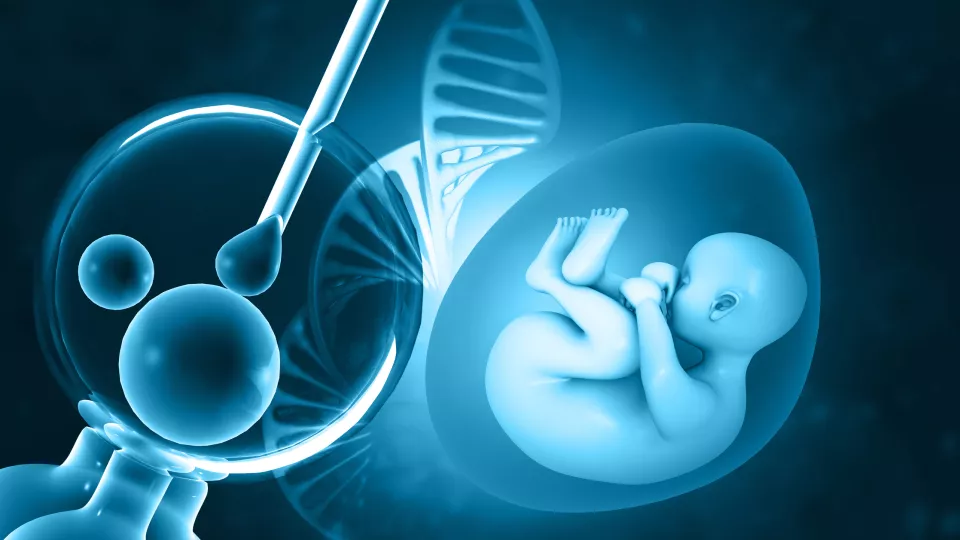 Illustration av IVF-befruktning, graviditet, DNA-sträng. Illustration: iStock/Rasi Bhadramani