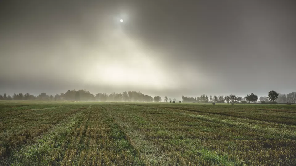 Foto på åker i dimma