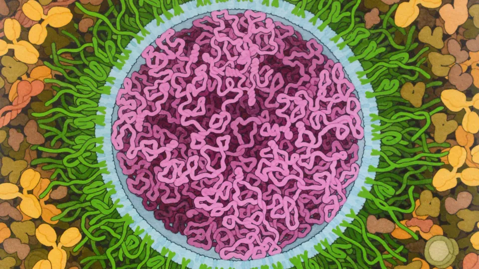 SARS-CoV-2 mRNA vaccin, illustration. Illustration av David S. Goodsell, RCSB Protein Data Bank; doi: 10.2210/rcsb_pdb/goodsell-gallery-027