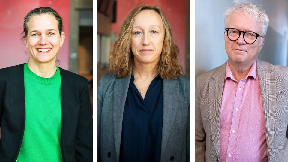 Anna Falk, Gisela Helenius, Stefan Jovinge. Foto: Tove Smeds, Lunds universitet och Skånes universitetssjukhus