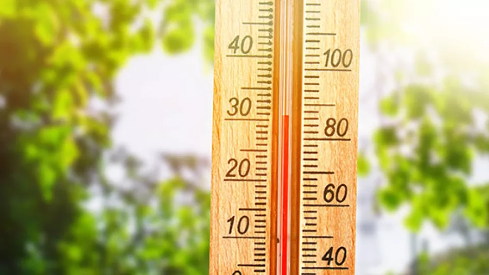 bild på en termometer som visar 30 graders värme