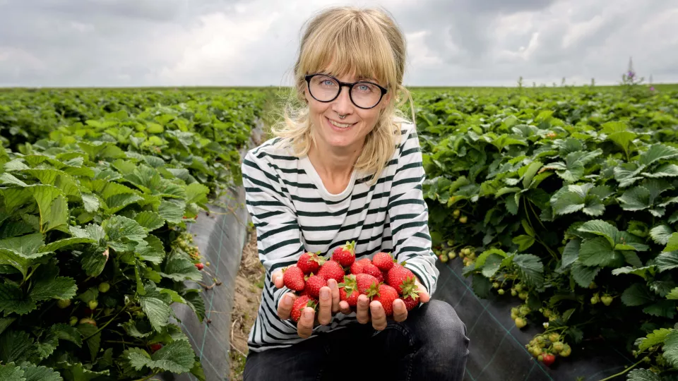 Lina Herbertsson med jordgubbar