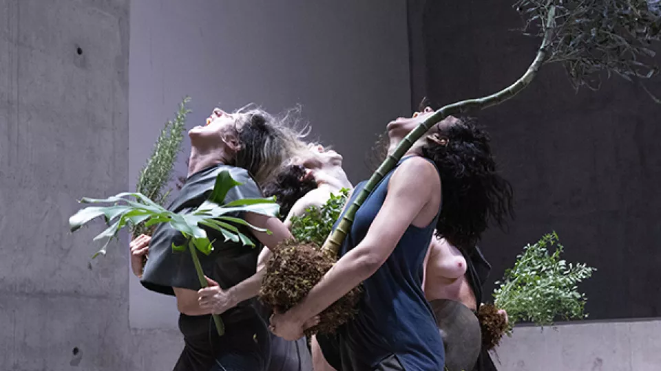 Dansare håller i växter under performance