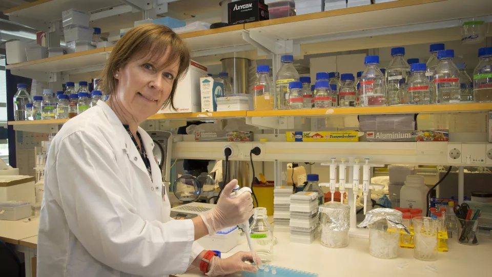 Kvinnlig forskare i vit labbrock häller upp vätska från provrör.
