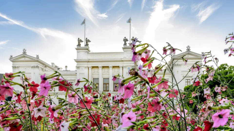 bild på Univ-huset