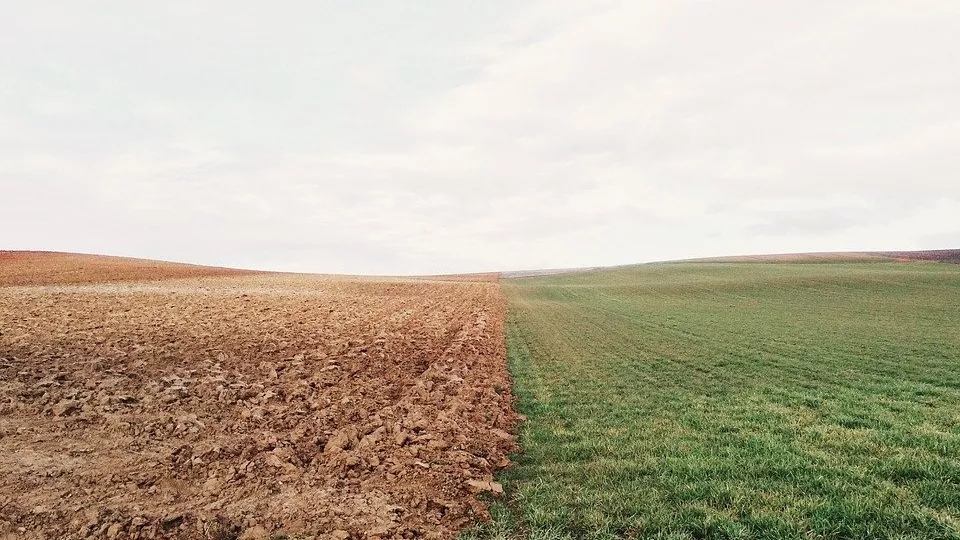 Bild som visar två fält som möts, ett upplöjt och ett gräsbevuxet.
