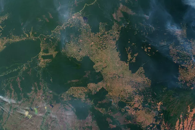 Satellitbild över Amazonas i Brasilien