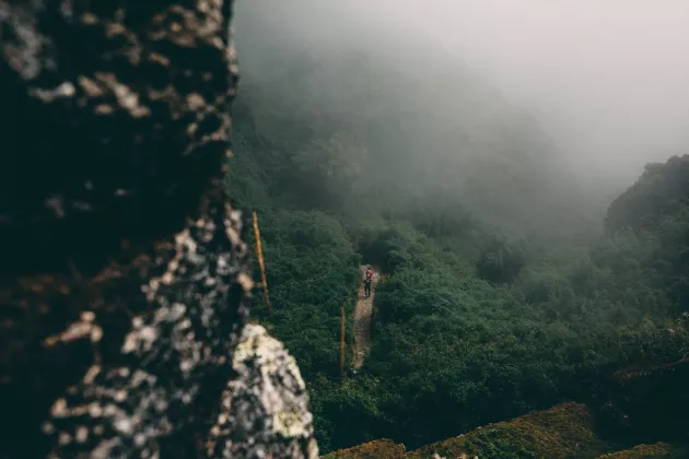 Människor som går på en stig i regnskogen i Machu Picchu, Peru. Bild: Unsplash.