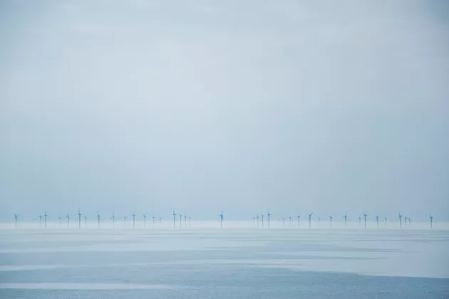Vindkraftverk stående på rad ute till havs. Foto.
