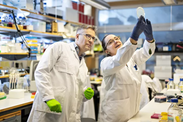Johan Flygare och Aurélie Baudet, stamcellsforskare vid Lunds universitet. Foto: Johan Persson.