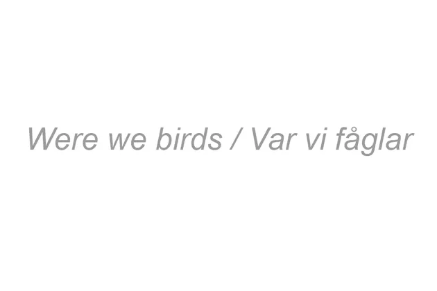 Were we birds / Var vi fåglar I grå text på vit bakgrund