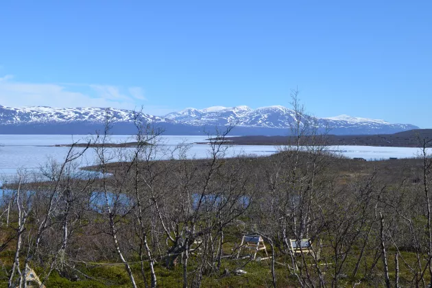 Bild på landskap med sjö och snöklädda berg. Foto