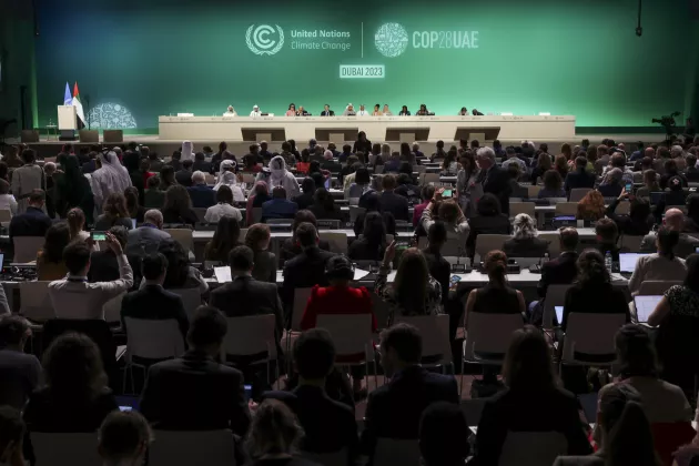 En konferenssal med delegater under COP28. Foto.