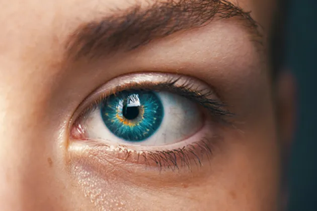 Närbild på mänskligt öga med blågrön iris. Foto från Unsplash.