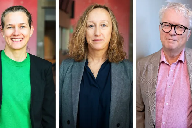 Anna Falk, Gisela Helenius, Stefan Jovinge. Foto: Tove Smeds, Lunds universitet och Skånes universitetssjukhus